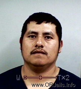 Mario Manzo Acevedo Mugshot